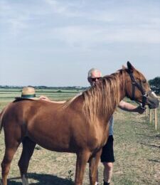 Sommerhilsen