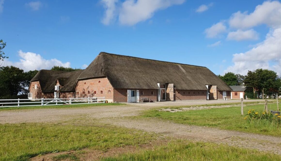 Klægager